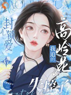 小说封心锁爱后，我追的高岭花失控了主角为文昭岑寂免费阅读