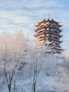 爆款小说此情不可待-主角陈念小蓉在线阅读