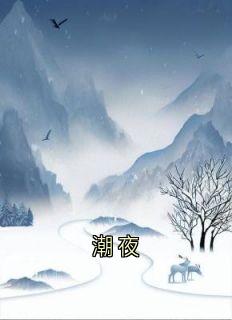 （好书推荐）潮夜小说最新章节小说全文阅读