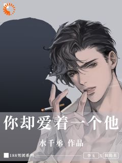精选好书你却爱着一个他无删减版全文在线
