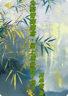 强烈推荐为娶青梅逼宫，圣上准备好了吗？沈君知云意欢许长庆在线阅读