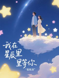 唐棠沈翊诚小说我在星辰里等你免费阅读