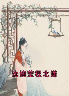 主角是沈婉莹程北潇的小说叫什么沈婉莹程北潇免费全文阅读-随缘阅读网