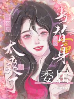 热文谁说替身委屈？当替身可太爽了！小说-主角沈燃嵇洲全文在线阅读