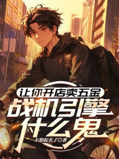 好书推荐让你开店买五金，战机引擎什么鬼秦铭张宁全文在线阅读