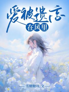 爱被遗忘在风里黎悠悠秦铭晟-小说txt全文阅读