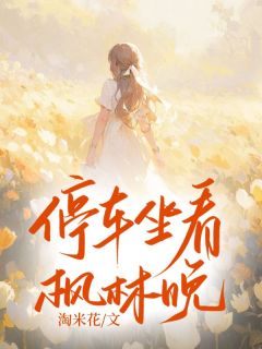 淘米花的小说停车坐看枫林晚全文阅读