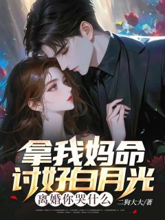 免费试读主角苏盛叶紫薇小说