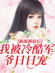 许虞蒋伟(原文完整)结婚当天新郎被抢？行！我换人嫁无弹窗免费阅读