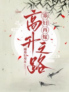 寡妇再嫁高升之路小说(完结版)-秦珍娘裴典吏在线阅读