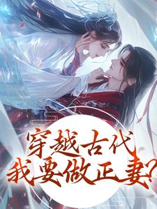 新上穿越古代，我要做正妻！木易华庭小说免费阅读