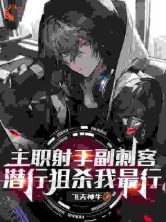 主职射手副刺客，潜行狙杀我最行陆沉大结局在线阅读