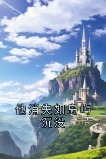 他消失如岛屿沉没by裴斯寻小说完结版在线阅读-随缘阅读网