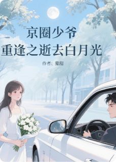 京圈少爷重逢之逝去白月光by是小甜甜吖(傅沉舟苏晚意)未删节免费阅读