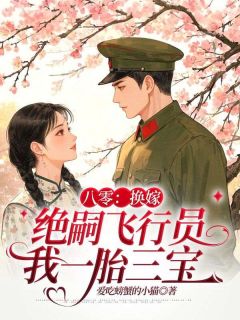 书荒必备八零：换嫁绝嗣飞行员我一胎三宝全文章节阅读