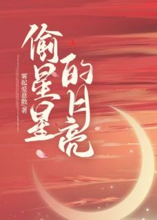 黎岁冉顾喻成全集小说_偷星星的月亮完结版阅读
