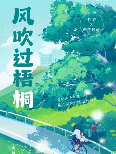 风吹过梧桐小说(完结版)-张丹鹰黄春在线阅读
