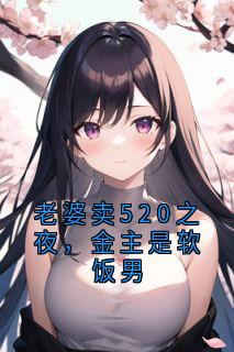 老婆卖520之夜，金主是软饭男（全本）周晨王齐完整章节列表免费阅读