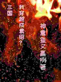 我是袁绍？那就且看我复汉室荣光吧小说百度云完整章节列表免费阅读