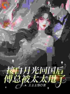 接白月光回国后，傅总被太太甩了章节目录小说-温南溪傅辞宴免费阅读全文