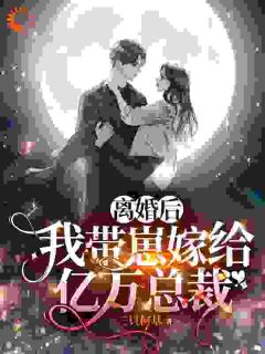 离婚后，我带崽嫁给亿万总裁苏晓慧靳言小说_离婚后，我带崽嫁给亿万总裁完结版阅读