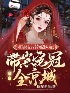 和离后，替嫁医妃带崽宠冠全京城小说主角是白荏苒墨韶华全文完整版阅读