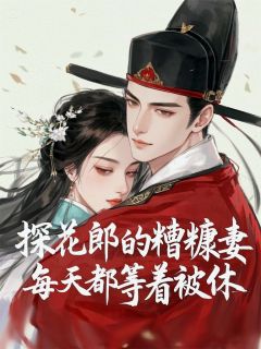 柳如意季晏礼探花郎的糟糠妻每天都等着被休小说完整版