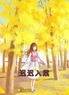 独家迟迟入棠小说-主角迟景安林棠全文免费阅读