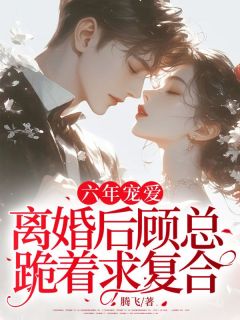 六年宠爱，离婚后顾总跪着求复合林夏顾明渊免费阅读-六年宠爱，离婚后顾总跪着求复合腾飞小说