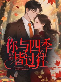 此去经年，你与四季皆过往无广告阅读 姜南雪顾十安免费在线阅读