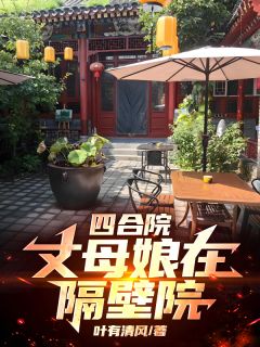 四合院：丈母娘在隔壁院林阳林月叶倾城小说全文阅读