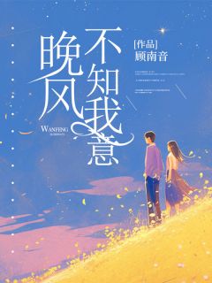 晚风不知我意by顾南音(宋晚沈寂)未删节免费阅读