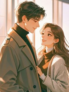 向晴时沉昭野小说无广告阅读