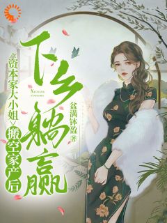 资本家大小姐搬空家产后下乡躺赢(宋清禾陆照临)小说全章节目录阅读