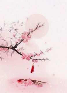 火爆太子转盘选妃，我果断拿走我的号码牌小说，主角是沈念萧澈萧婉儿在线阅读全文无删减