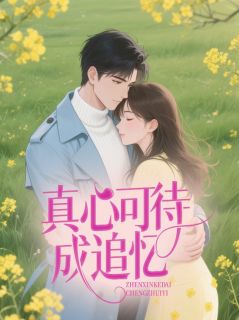正版小说真心可待成追忆时予安谢昭临在线免费阅读