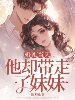 婚礼当天，他却带走了妹妹苏念念周泽宇小说全文阅读