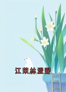 江茉林澄野小说全章节目录阅读BY佚名完结版阅读