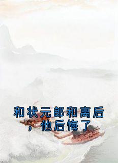 和状元郎和离后，他后悔了朱五娘叶清棠沈知秋-佚名小说