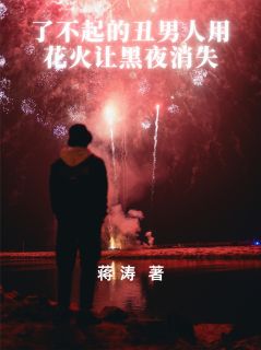 主角是洪二陆沉的小说叫什么了不起的丑男人用花火让黑夜消失免费全文阅读