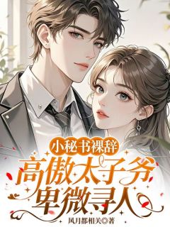 温渡宋西辞小秘书裸辞，高傲太子爷卑微寻人全章节免费阅读