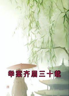 谢长淮林晚意主角抖音小说举案齐眉三十载在线阅读