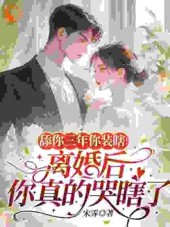 舔你三年你装瞎！离婚后你真的哭瞎了无广告阅读 温知妤陆湛免费在线阅读