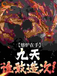 熔炉在手，九天谁敢造次！在线阅读 夏宇夏鸿纪免费小说精彩章节