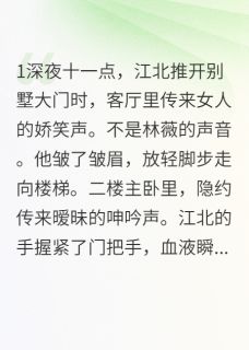 火爆捉奸在床后,渣妻跪地求原谅小说,主角是江北林薇在线阅读全文无删减-随缘阅读网