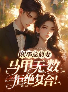 云揽月墨宸琰全章节阅读-惊！墨总前妻马甲无数，拒绝复合！全文分享阅读