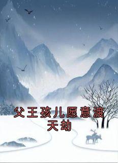 父王孩儿愿意渡天劫(凌月)最佳创作小说全文在线阅读