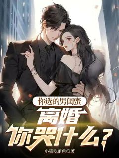 你选的男闺蜜，离婚你哭什么？王昆林若彤全章节目录免费阅读