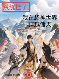 王长命王长生小说<系统挂了，我在超神世界穿越诸天>全文在线阅读