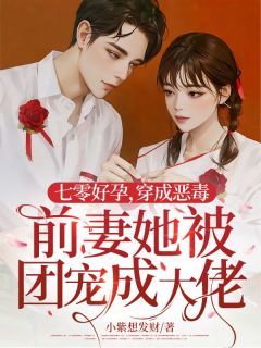 七零好孕，穿成恶毒前妻她被宠成大佬了小说的书名是什么